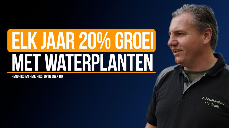 Van eigen inboedel verkopen naar De FD Gazellen Awards? De Vijvermeester op Crocs!